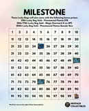 NexPack Lucky Bag 8.0