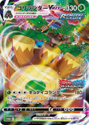 Image for Rillaboom VMAX - 171/S-P (171/S-P) (S-P: Sword & Shield Promos) - Pokemon Japan